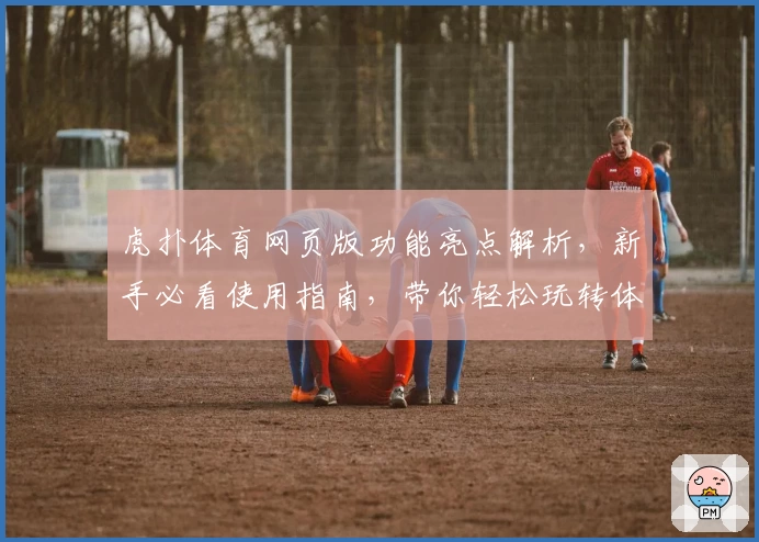 虎扑体育网页版功能亮点解析，新手必看使用指南，带你轻松玩转体育社区