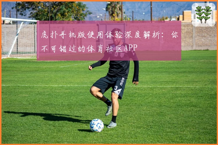 虎扑手机版使用体验深度解析：你不可错过的体育社区APP