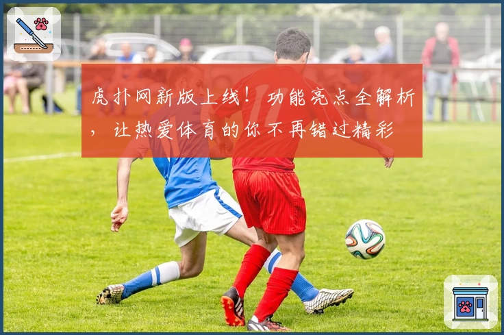 虎扑网新版上线！功能亮点全解析，让热爱体育的你不再错过精彩